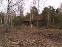 Forstbetrieb in Nowoschepelytschi