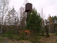 Forstbetrieb in Nowoschepelytschi