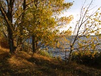 Der Kuehlteich vom AKW Tschernobyl