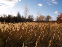 Tschernobyl im Herbst