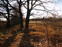 Tschernobyl im Herbst