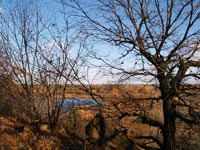 Tschernobyl im Herbst