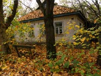 Tschernobyl im Herbst