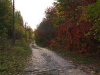 Tschernobyl im Herbst