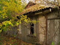 Tschernobyl im Herbst