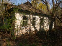 Tschernobyl im Frühling