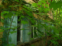 Tschernobyl im Sommer