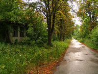 Sommer in der Sperrzone von Tschernobyl