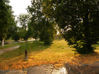 Tschernobyl im Sommer