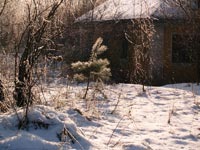 Der Wintermorgen in Tschernobyl