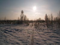 Der Wintermorgen in Tschernobyl