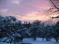 18.12.2012. Chornobyl. Return
