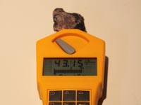 Gamma Scout