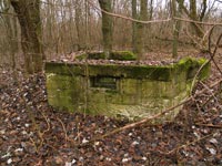 Stadt Poliske