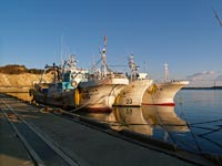 Iwaki (いわき市). Hisanohama (久之浜). Präfektur Fukushima