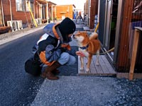 Minamisoma (南相馬市). Präfektur Fukushima