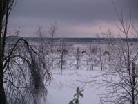 Der Wintermorgen in Dörf Tscherwatsch