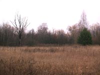 Stadt Poliske