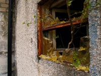 Der Fruehling in Pripjat Der Fruehling in Pripjat
