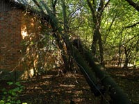 Pripjat