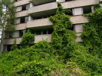 Pripjat im Sommer