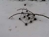 Pripjat im Winter