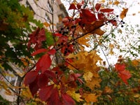Pripjat im Herbst