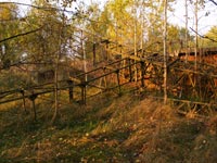 Radarstation in Tschornobyl Radarstation in Tschornobyl