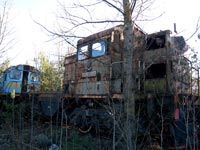 TGM4
