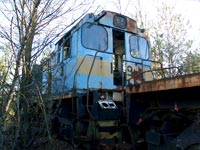 TGM5