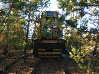 TGM5
