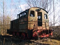 TGM1