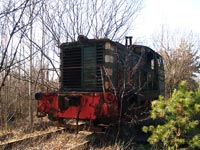 TGM1