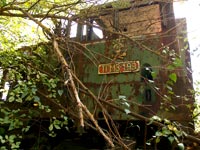 TGM3