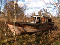 Boote