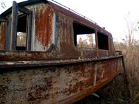 Boote