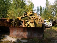 IMR - 2