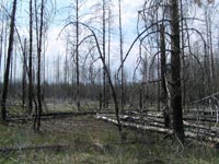 Chornobyl's villages