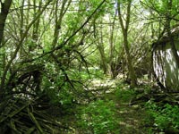 Chornobyl's villages