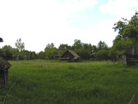 Krasne