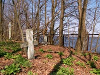 Die Zone im Frühling