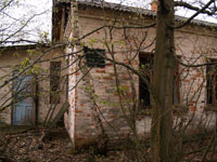 Forstbetrieb in Nowoschepelytschi