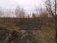 Orane, die 25. Brigade