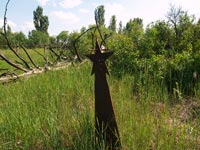 Friedhof des Dörfchens Pidlissnyj