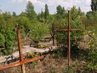 Friedhof des Dörfchens Pidlissnyj