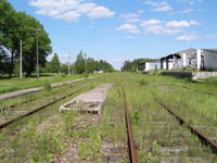 Radtscha