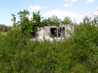 Radtscha
