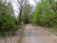 Chornobyl's villages