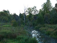 Rudnja–Ososchnja