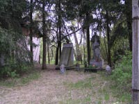 Chornobyl's villages